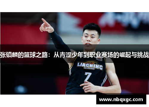 张镇麟的篮球之路：从青涩少年到职业赛场的崛起与挑战