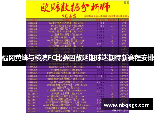 福冈黄蜂与横滨FC比赛因故延期球迷期待新赛程安排